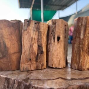 Por Mayor - Tucos Palo Santo 10cm